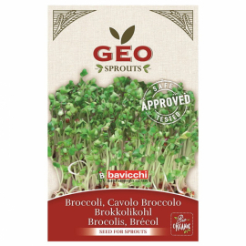 GEO - Broccolifrö GEO Sv EKO 13g