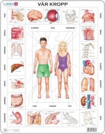 Larsen - Rampussel Vår Kropp 35 Bitar